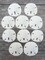 Sand Dollar Set of 10 Real Sand Dollars 3"-3 1/2" Sand Dollar Shells